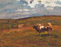 Adriaan Boshoff; Cattle in a field