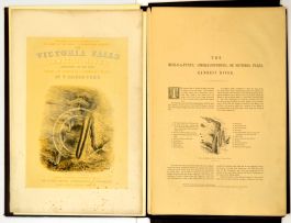 Baines, Thomas; The Victoria Falls, Zambesi River: Sketched on the Spot (During the Journey of J Chapman and T Baines)