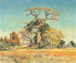 Terence McCaw; Baobab Mazinga's Kraal