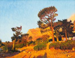 Walter Meyer; Cape Scene with Stone Pines