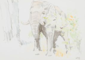 Zakkie Eloff; Elephant