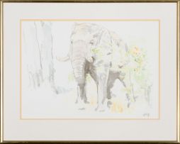Zakkie Eloff; Elephant