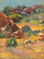 Piet van Heerden; Rocky Landscape, Namaqualand