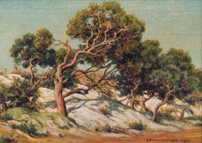 Erich Mayer; Trees