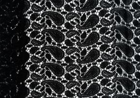 Carnet. Lace