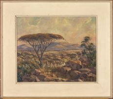 Stefan Ampenberger; Thaba 'Nchu Landscape