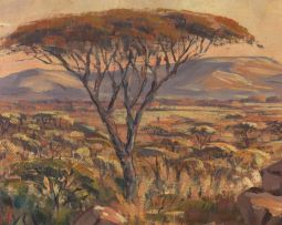 Stefan Ampenberger; Thaba 'Nchu Landscape