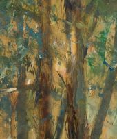 Christopher Tugwell; Bluegum Forest