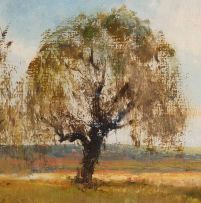 Christopher Tugwell; Willows in a Wetland
