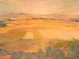 Piet van Heerden; Orange Landscape