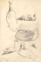 Maggie Laubser; Bird Studies