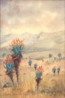 Erich Mayer; Dawn, Ngoya Mts, Zululand, Winter
