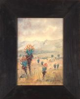 Erich Mayer; Dawn, Ngoya Mts, Zululand, Winter