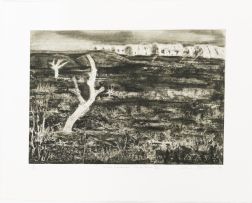 Kim Berman; Alien Landscape, White River IV