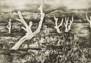 Kim Berman; Alien Landscape, White River III