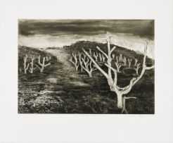 Kim Berman; Alien Landscape, White River I