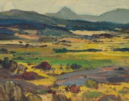 Piet van Heerden; Namaqualand Landscape