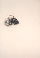 Wim Botha; Untitled (Skull Drawings 1, 2, 3 & 4), four