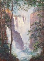 Hugo Naudé; The Victoria Falls
