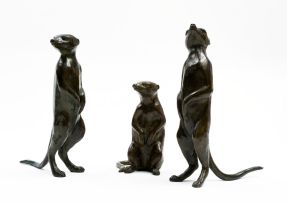 Donald Greig; Meercats, three