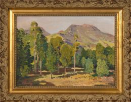 Robert Broadley; A View of the Hogsback Mountains