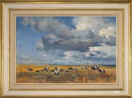 Dino Paravano; Friesland Cattle in an Extensive Landscape