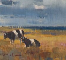 Dino Paravano; Friesland Cattle in an Extensive Landscape