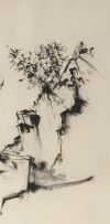 Paul du Toit; A Study of Trees and Rocks