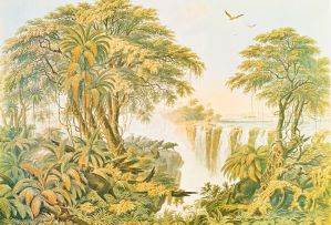 Thomas Baines; The Victoria Falls, Zambezi River, 6
