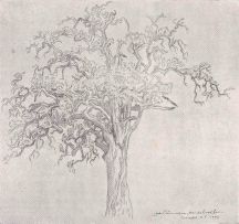 Jacob Hendrik Pierneef; Hardekoolboom in a Bushveld Landscape