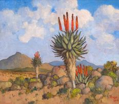 Conrad Theys; Aalwyne - Groot Karoo (Aloes - Groot Karoo)