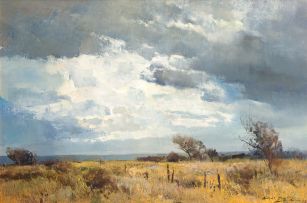 Errol Boyley; Landscape