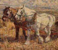 Harry Fidler; Harvesting