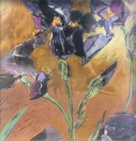Louis Jansen van Vuuren; Irises