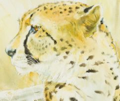 Patricia Mary Vaughan; Cheetah