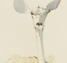 Keith Joubert; Young Kudu