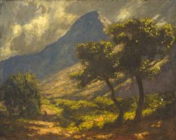Edward Roworth; Devil's Peak