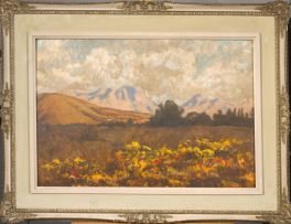 Edward Roworth; Flowers in the Veld