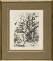 Tinus de Jongh; Old Gum Tree, Bergvliet