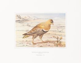Baines, Thomas; The Birds of South Africa