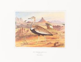 Baines, Thomas; The Birds of South Africa