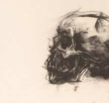Wim Botha; Untitled (Skull Drawing 1)