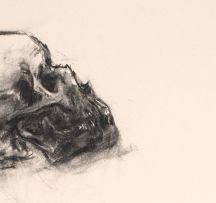 Wim Botha; Untitled (Skull Drawing 2)
