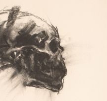 Wim Botha; Untitled (Skull Drawing 3)