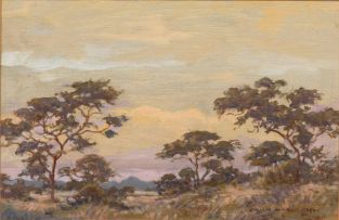 Erich Mayer; Transvaal: Landscape