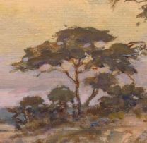 Erich Mayer; Transvaal: Landscape