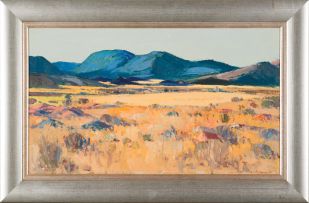 Piet van Heerden; Namaqualand Landscape