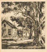 Tinus de Jongh; The Old Tree Hout Bay, Cape