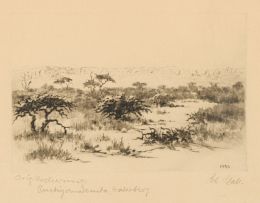 Johannes Blatt; Waterberg, Namibia