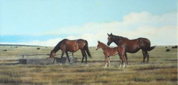 Alan Kluckow; Six Weeks Old: Thoroughbred Mares and Foal in the Karoo